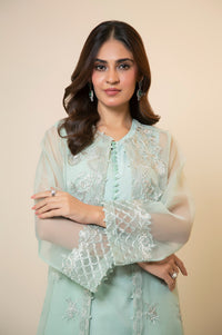 EMBROIDERED SUIT