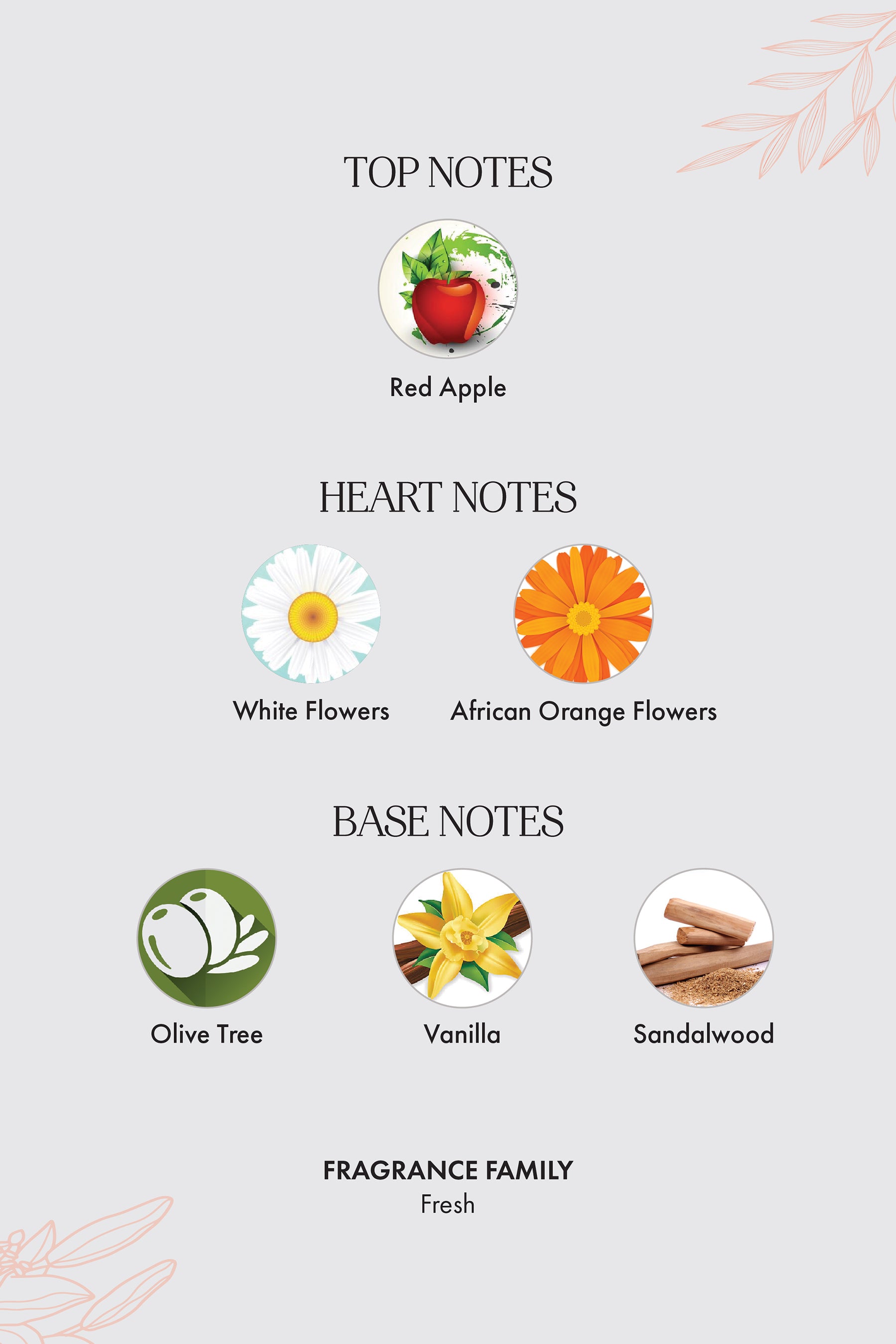 Citrus Delight - Everyday Fragrance