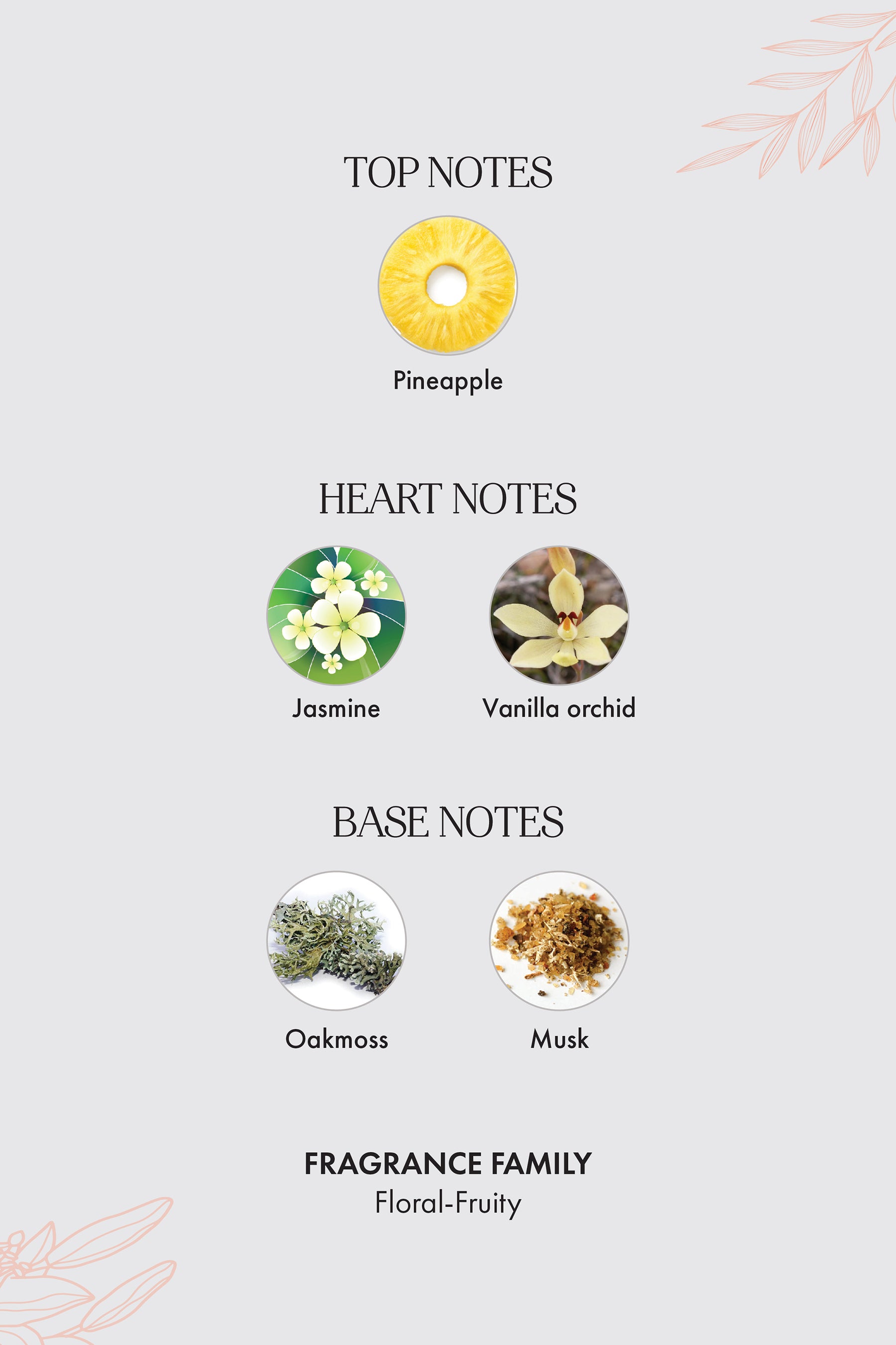 Sage - Premium Fragrance