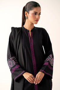 Stitched 2 Piece Embroidered Cambric Suit