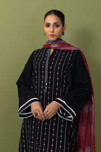 Stitched 2 Piece Dyed Embroidered Khaddar Suit