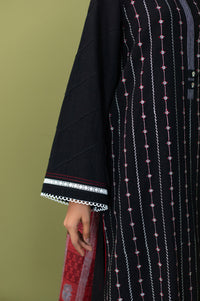 Stitched 2 Piece Dyed Embroidered Khaddar Suit