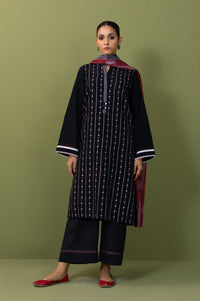 Stitched 2 Piece Dyed Embroidered Khaddar Suit