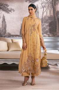 EMBROIDERED SUIT