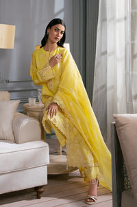 UNSTITCHED EMBROIDERED SUIT