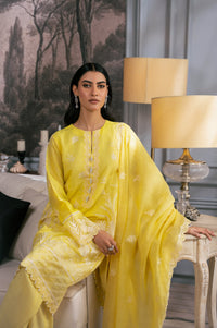 EMBROIDERED SUIT