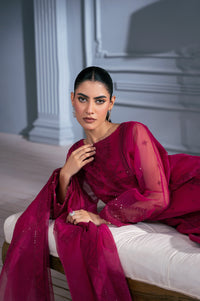 EMBROIDERED SUIT