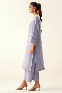 Stitched 2 Piece Embroidered Organza Suit