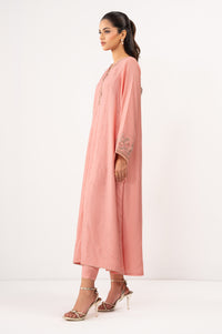 Stitched 2 Piece Embroidered Raw Silk Suit
