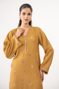 Stitched 2 Piece Embroidered Raw Silk Suit