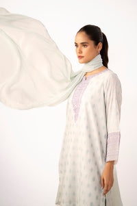 EMBROIDERED SUIT
