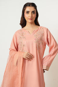 EMBROIDERED SUIT