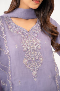 EMBROIDERED SUIT