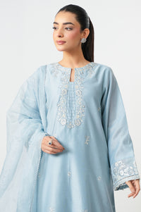 EMBROIDERED SUIT