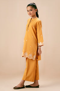 EMBROIDERED SUIT