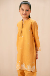 EMBROIDERED SUIT