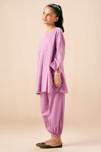 Stitched 2 Piece Embroidered Cambric Suit
