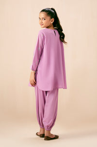Stitched 2 Piece Embroidered Cambric Suit
