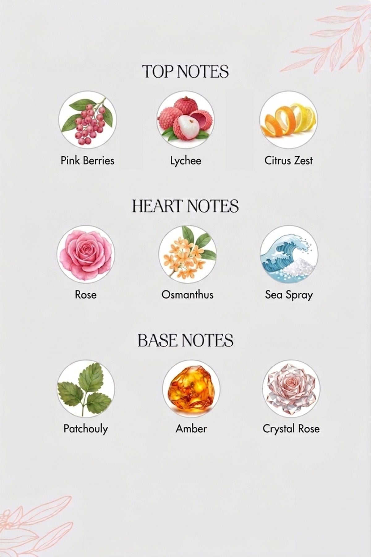 CORAL ROSE MIST