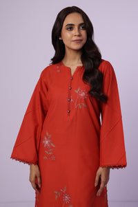 Stitched 1 Piece Embroidered Cambric Shirt
