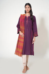 Stitched 2 Piece Cambric Embroidered Suit