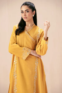 Stitched 2 Piece Embroidered Khaddar Suit