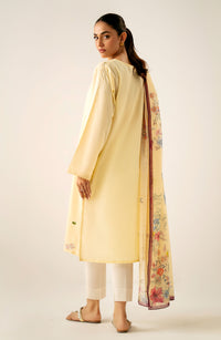 Stitched 2 Piece Embroidered Cambric Suit