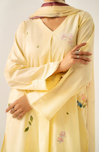 Stitched 2 Piece Embroidered Cambric Suit