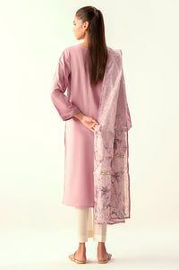 Stitched 2 Piece Embroidered Cambric Suit