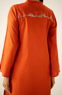 Stitched 2 Piece Dyed Embroidered Cambric Suit