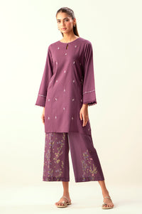 Stitched 2 Piece Embroidered Cambric Suit