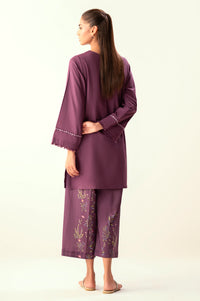 Stitched 2 Piece Embroidered Cambric Suit