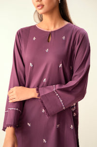 Stitched 2 Piece Embroidered Cambric Suit
