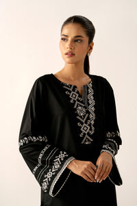 Stitched 2 Piece Embroidered Cambric Suit