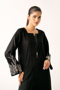 Stitched 2 Piece Embroidered Cambric Suit