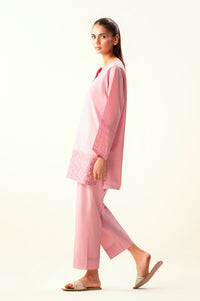 Stitched 2 Piece Embroidered Cambric Suit