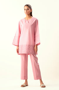 Stitched 2 Piece Embroidered Cambric Suit