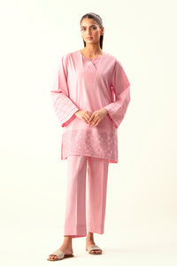 Stitched 2 Piece Embroidered Cambric Suit