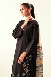 Stitched 2 Piece Embroidered Cambric Suit