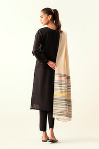 Stitched 2 Piece Embroidered Cambric Suit