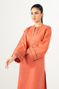 EMBROIDERED SUIT