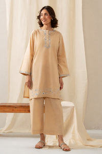 EMBROIDERED SLUB STITCHED 2 PIECE SUIT