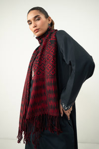 EMBROIDERED SUIT