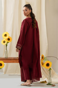 EMBROIDERED BOTH SIDE SLUB STITCHED 3 PIECE SUIT