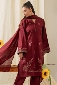 EMBROIDERED BOTH SIDE SLUB STITCHED 3 PIECE SUIT