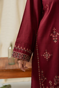 EMBROIDERED BOTH SIDE SLUB STITCHED 3 PIECE SUIT
