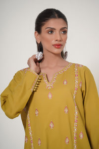 Stitched 2 Piece Embroidered Cambric Suit