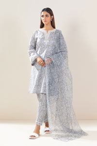 Stitched 3 Piece Printed Lawn Suit