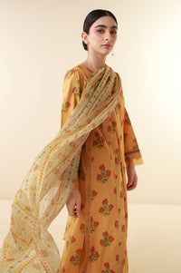 Stitched 3 Piece Printed Lawn Suit