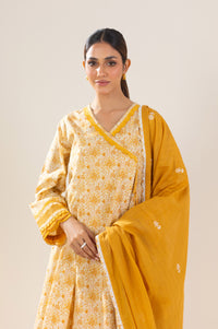 Unstitched 3 Piece Printed Lawn Suit